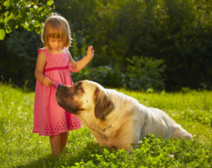 Young girl petting large dog in a field