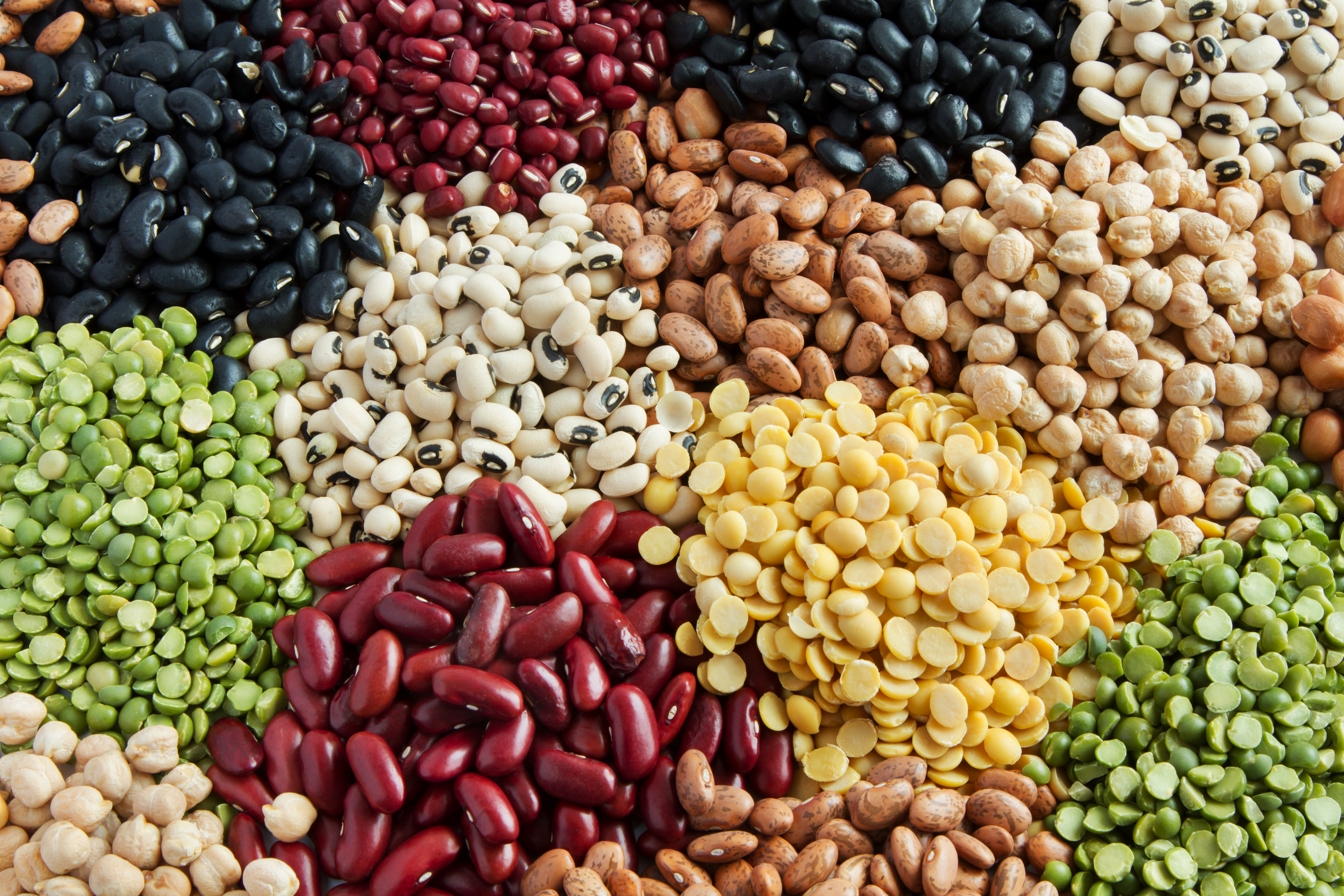 Make Room for Legumes – Food Insight