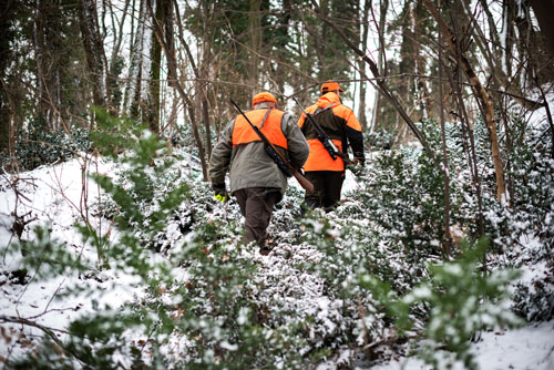 Deer hunters in the woods