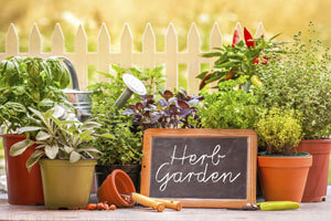 Variety of potted plants and a chalk board with "Herb Garden" written on it.