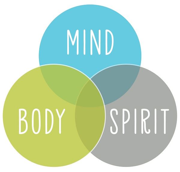 mind, body, spirit van diagram